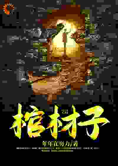 棺材子全文免费完整版阅读_年年在努力_棺材子最新章节更新全集