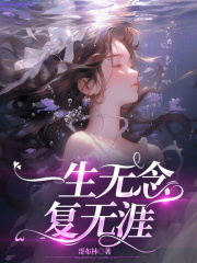 一生无念复无涯全文免费完整版阅读_林辞裴启承_一生无念复无涯最新章节更新全集