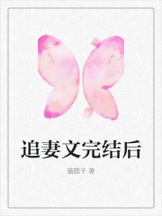 追妻文完结后全文免费完整版阅读_秦渝,许晴_追妻文完结后最新章节更新全集
