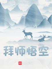 拜师悟空全文免费完整版阅读_林寻孙悟空_拜师悟空最新章节更新全集