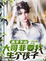 高手下山：大哥非要我生个孩子全文免费完整版阅读_叶天,林雪儿_高手下山：大哥非要我生个孩子最新章节更新全集